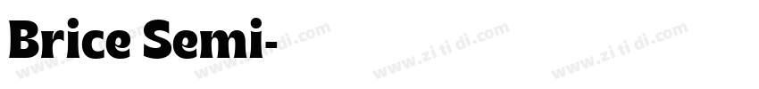 Brice Semi字体转换
